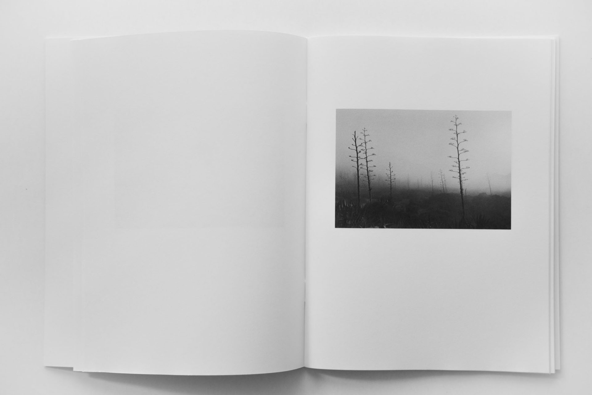Los Paisajes de Paquita - Bernard Plossu - Imagen 7